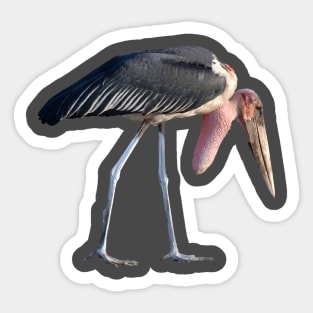 Marabou wading scavenger stork African Ugly Bird Africa Sticker